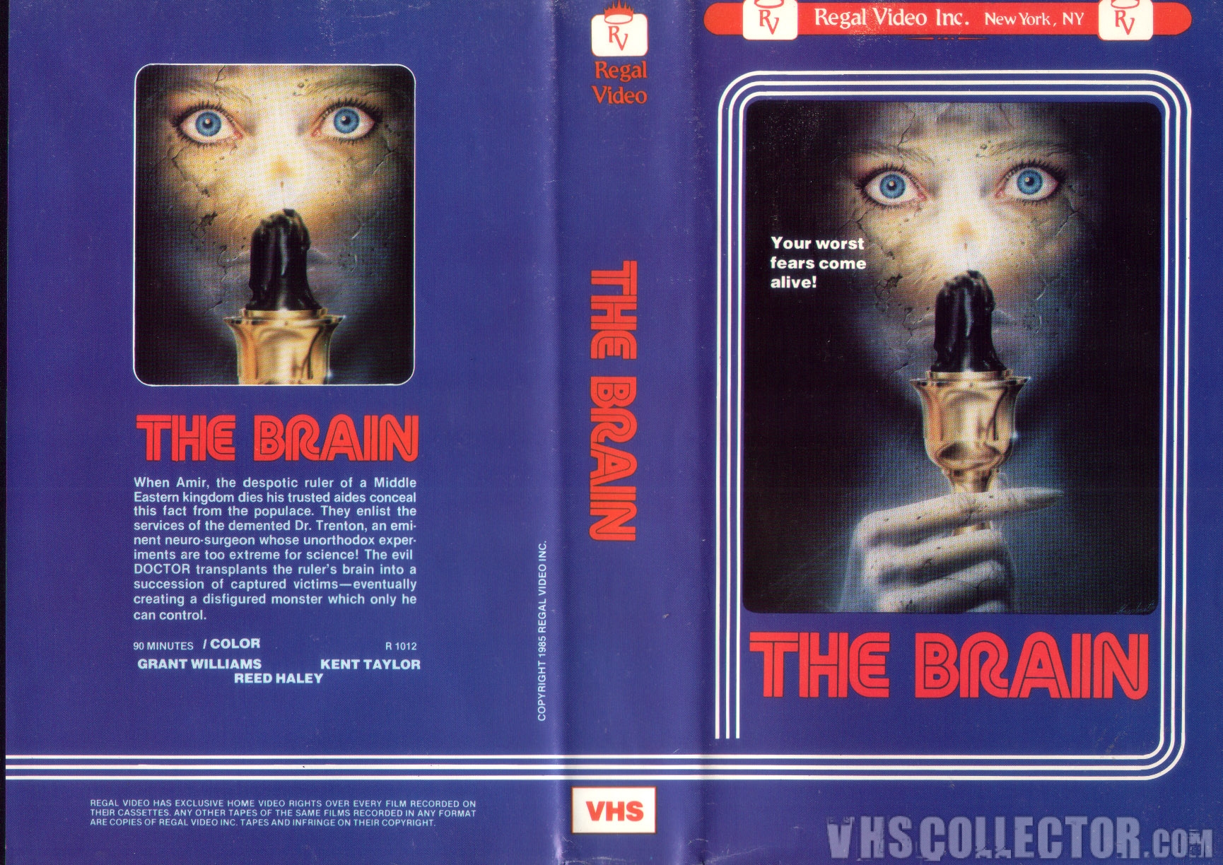The Brain | VHSCollector.com