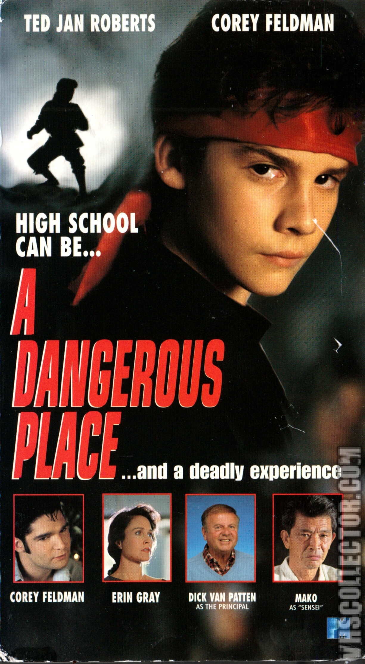 A Dangerous Place | VHSCollector.com