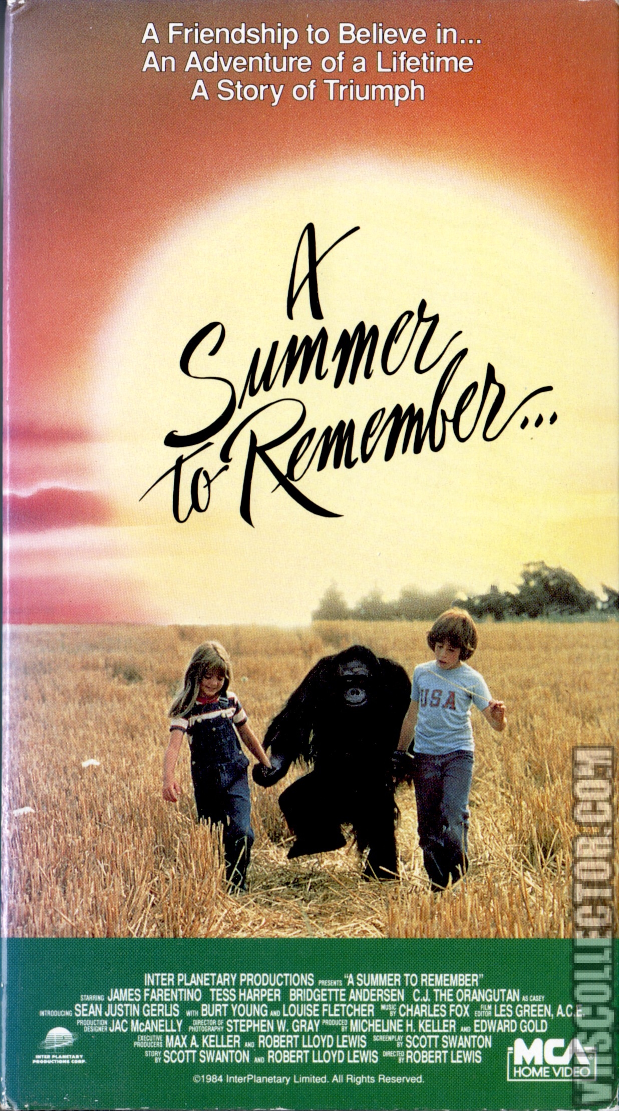 A Summer to Remember...